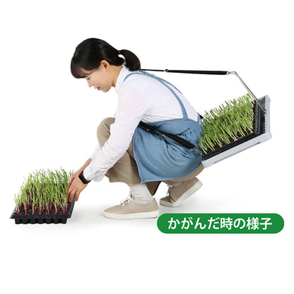 KSFARM　スピード苗トレー