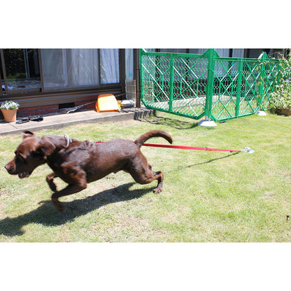 大型犬用フレペグ