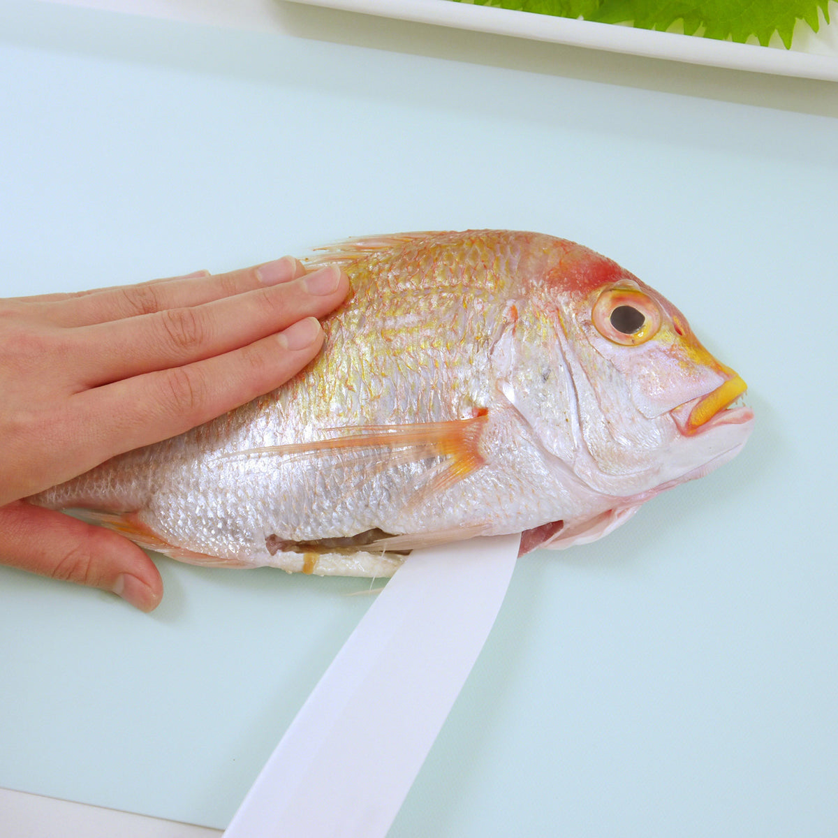 シェルパEX 抗菌まな板3枚入り+ミニ1枚