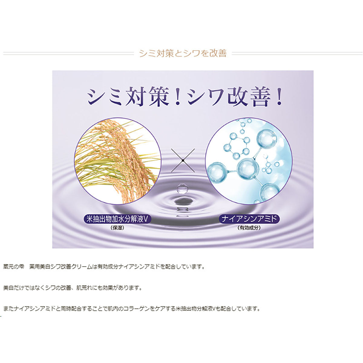 蔵元の雫 50g 日本製 美容クリーム 酒粕エキス配合 乾燥 キメ ハリ 美白