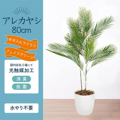 光触媒インテリアグリーン アレカヤシ80cm 鉢付き