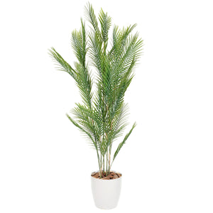 光触媒インテリアグリーン アレカヤシ140cm 鉢付き