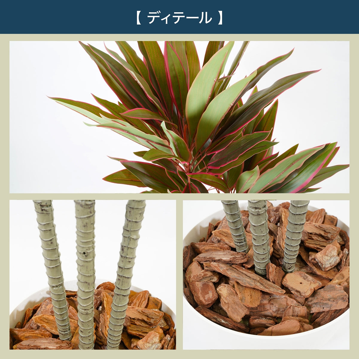 光触媒インテリアグリーン ドラセナ120cm 鉢付き