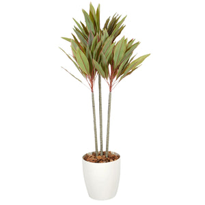 光触媒インテリアグリーン ドラセナ120cm 鉢付き