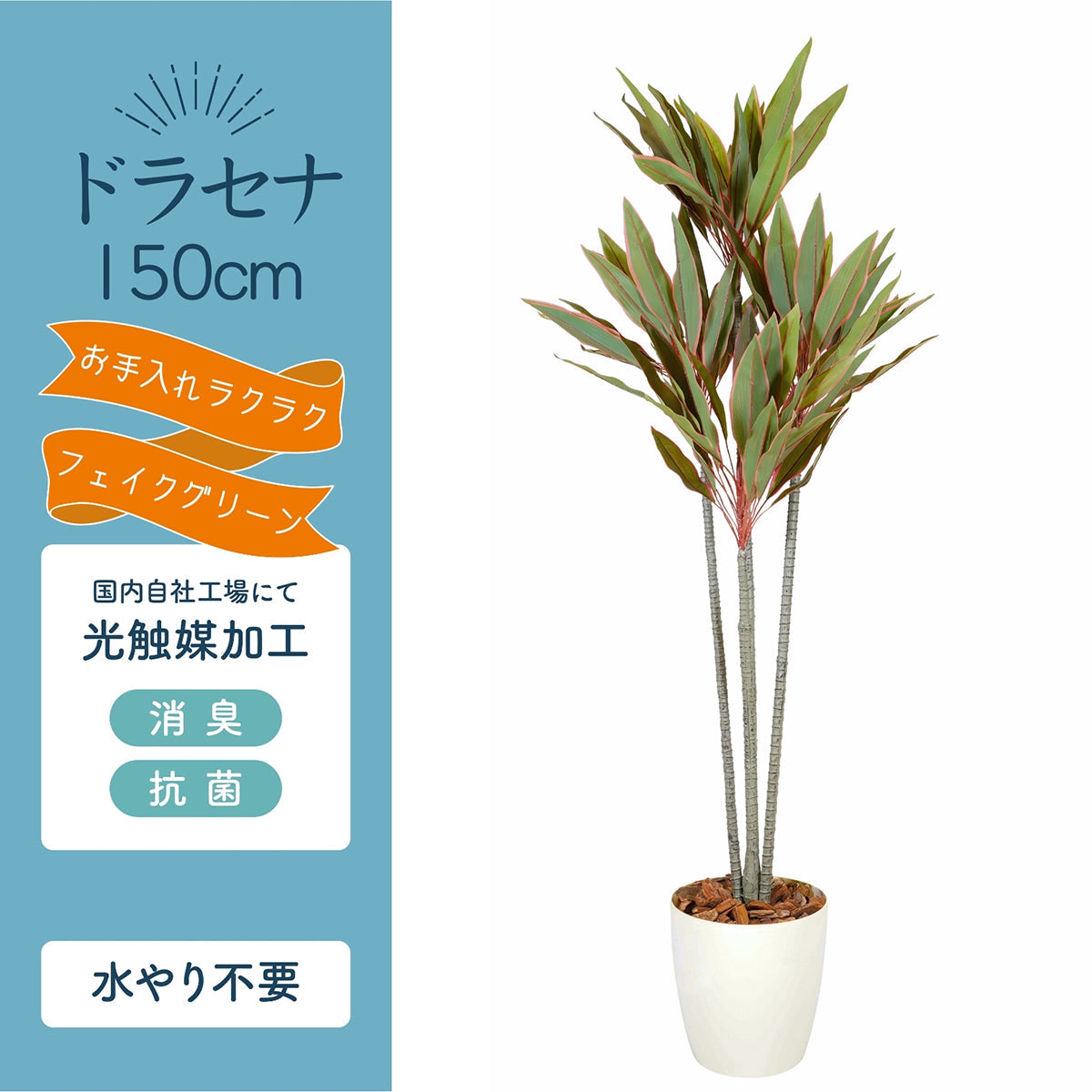 光触媒インテリアグリーン ドラセナ150cm 鉢付き