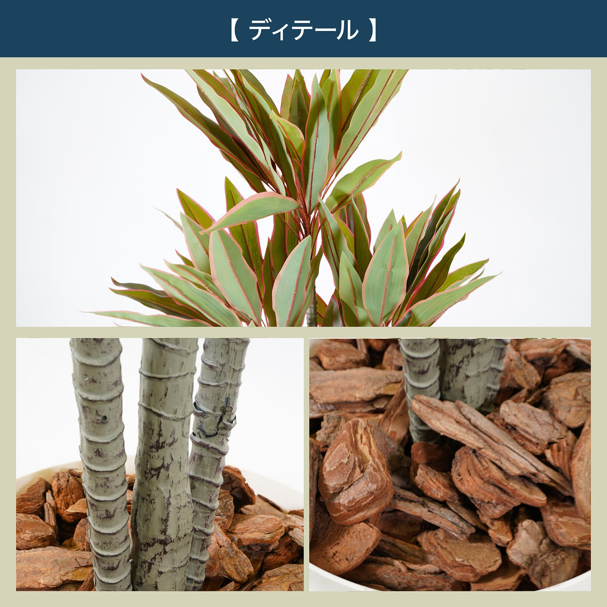 光触媒インテリアグリーン ドラセナ150cm 鉢付き