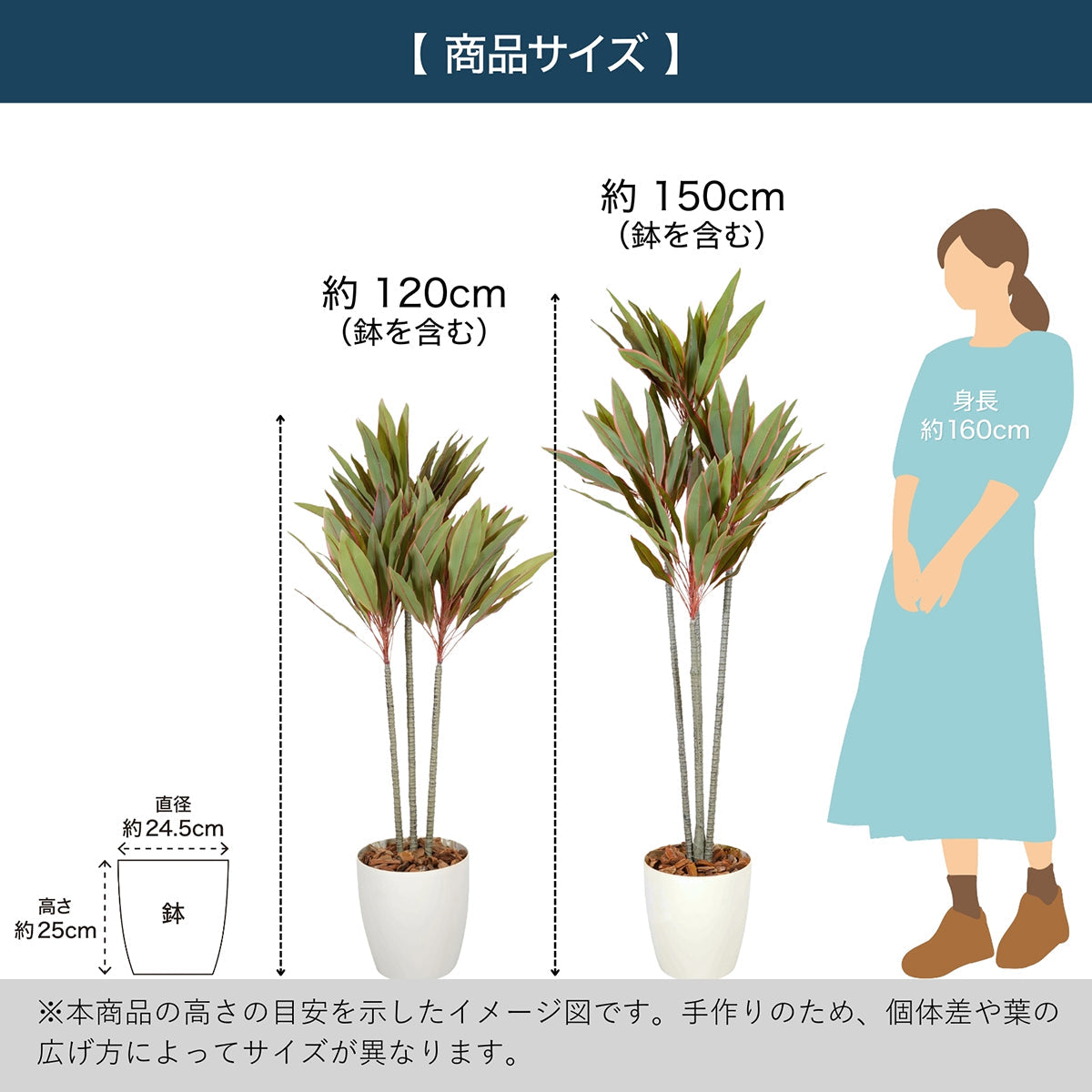 光触媒インテリアグリーン ドラセナ150cm 鉢付き