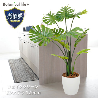 光触媒インテリアグリーン モンステラ120cm 鉢付き