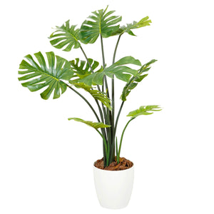 光触媒インテリアグリーン モンステラ120cm 鉢付き