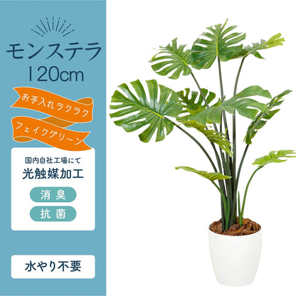 光触媒インテリアグリーン モンステラ120cm 鉢付き