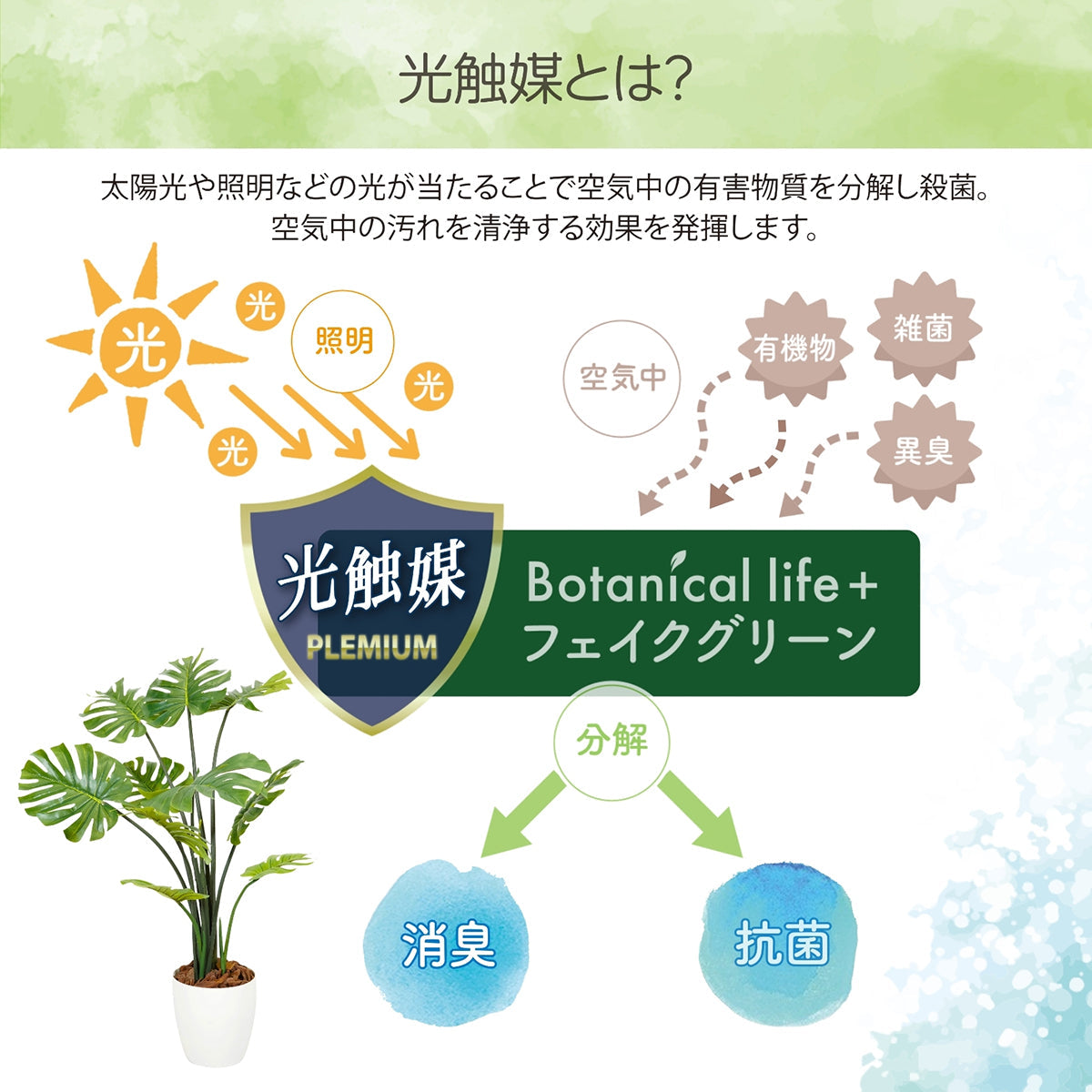 光触媒インテリアグリーン モンステラ120cm 鉢付き