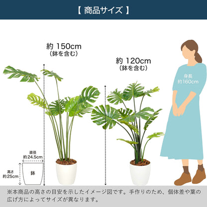 光触媒インテリアグリーン モンステラ120cm 鉢付き