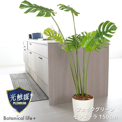 光触媒インテリアグリーン モンステラ150cm 鉢付き