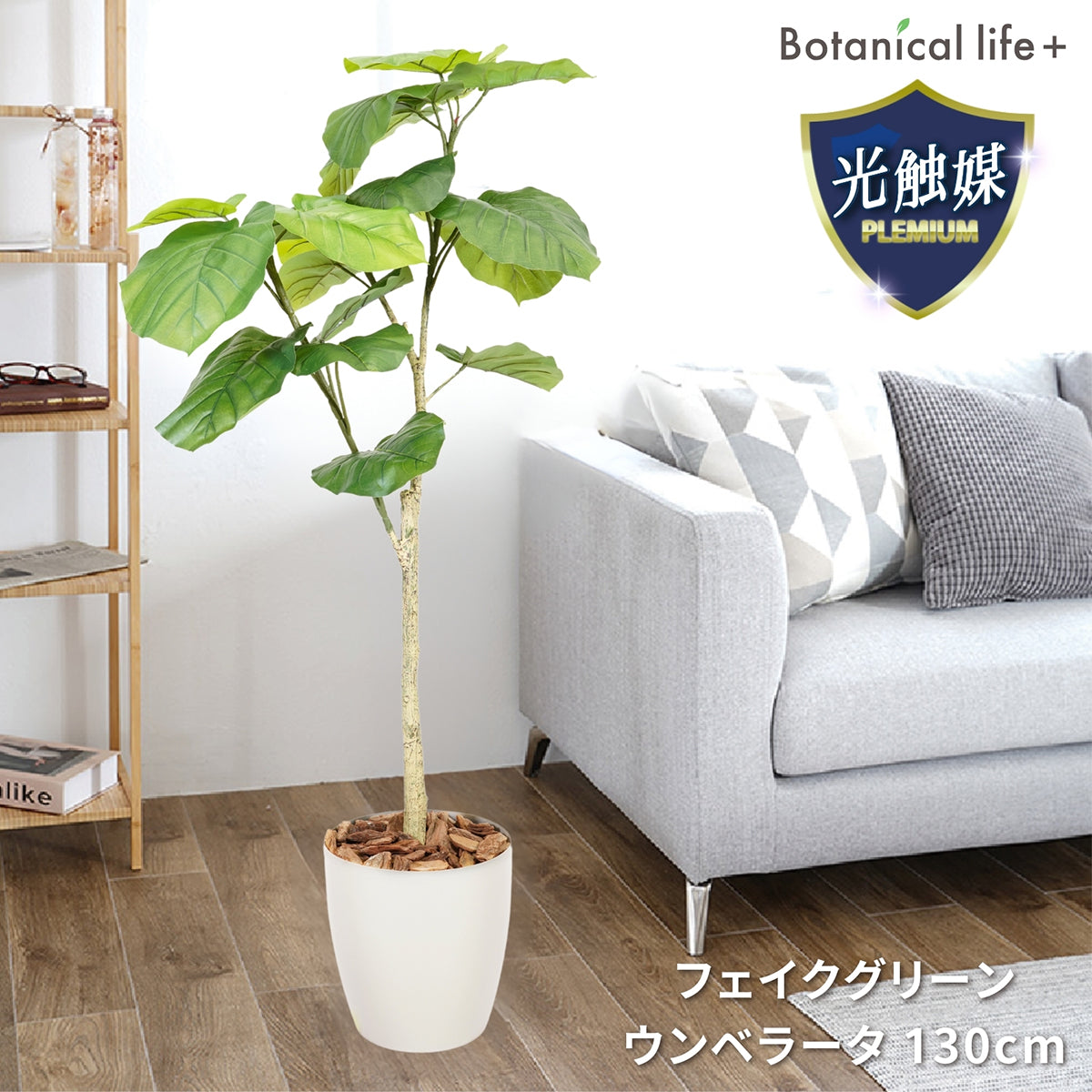 光触媒インテリアグリーン ウンベラータ130cm 鉢付き