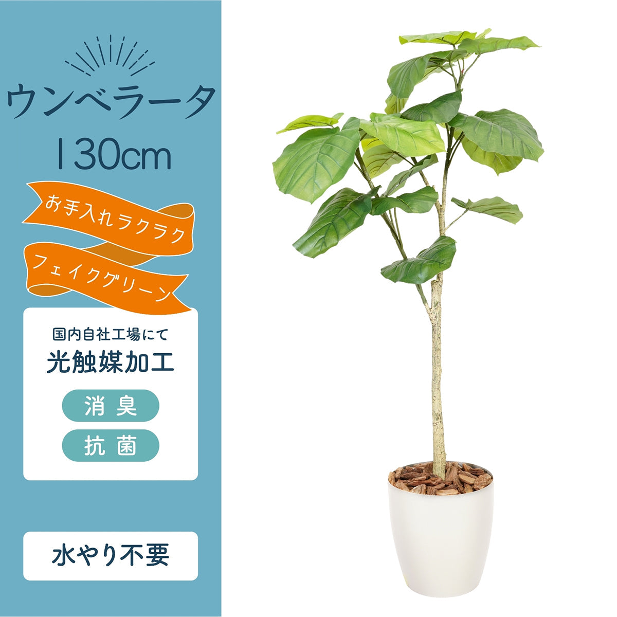 光触媒インテリアグリーン ウンベラータ130cm 鉢付き