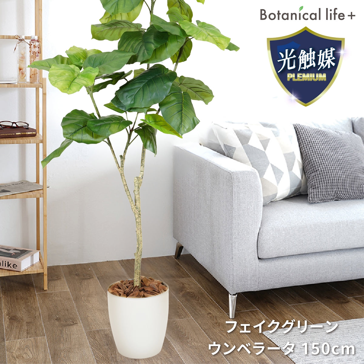 光触媒インテリアグリーン ウンベラータ150cm 鉢付き