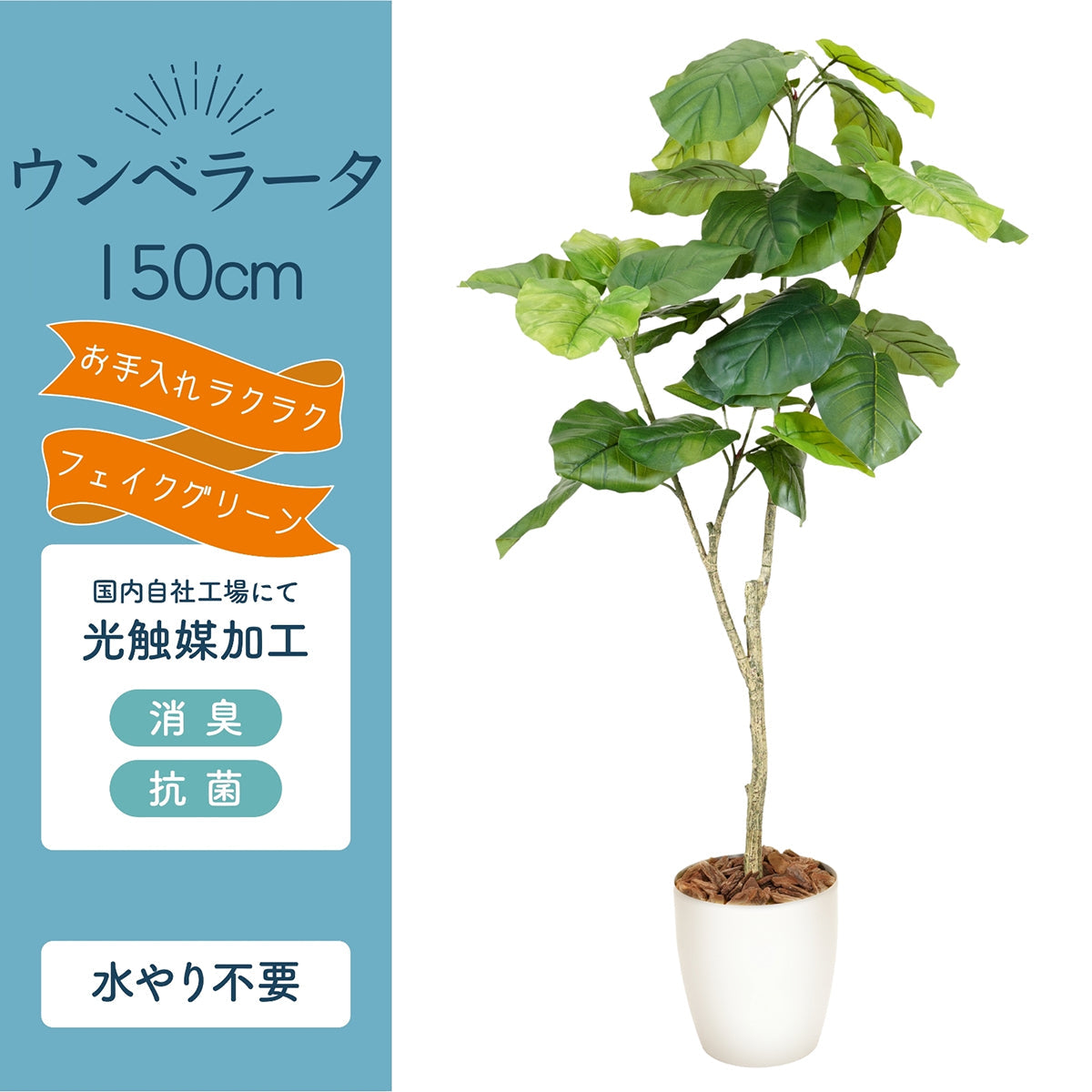 光触媒インテリアグリーン ウンベラータ150cm 鉢付き