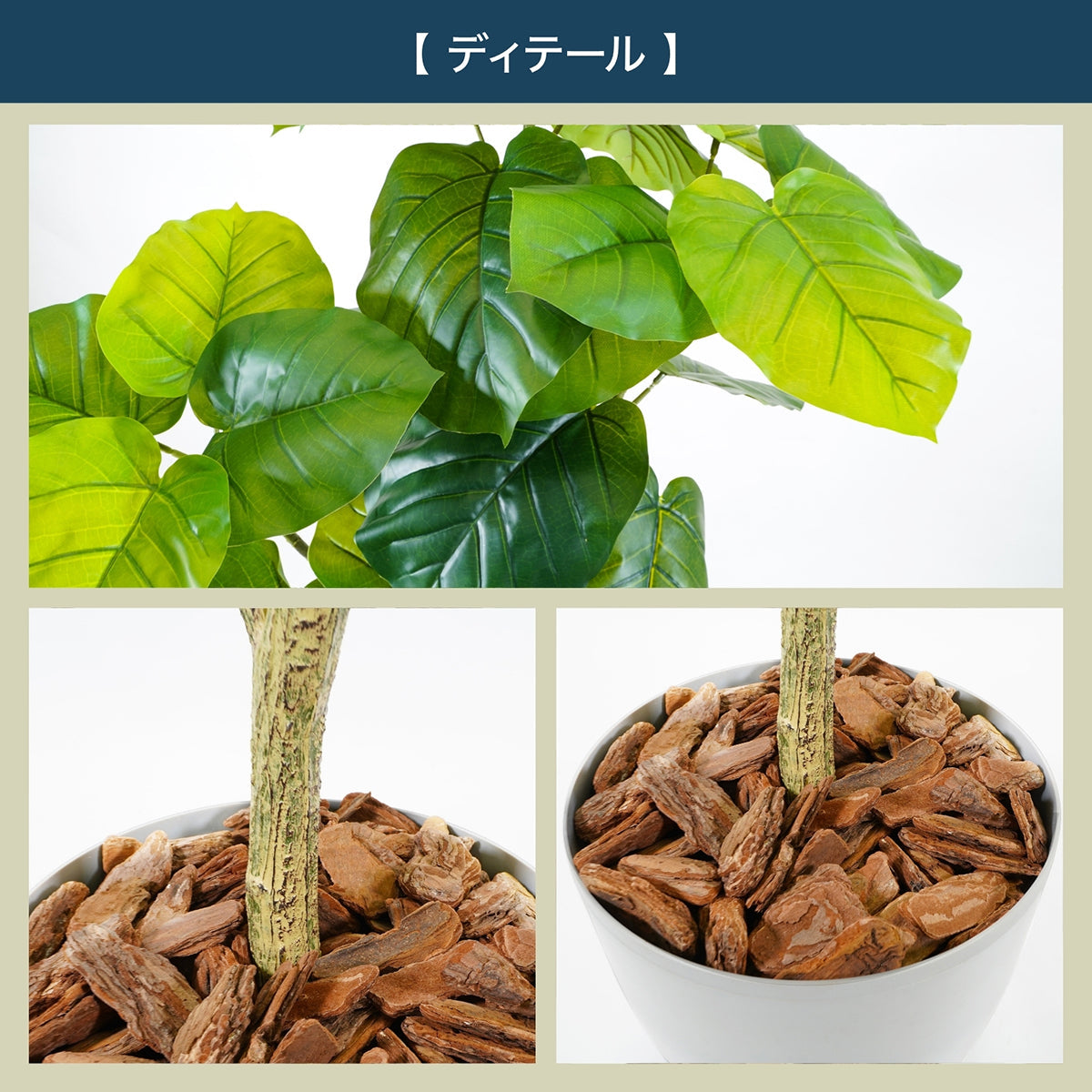 光触媒インテリアグリーン ウンベラータ150cm 鉢付き