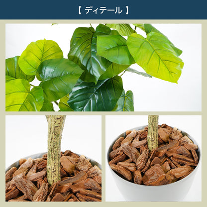 光触媒インテリアグリーン ウンベラータ150cm 鉢付き
