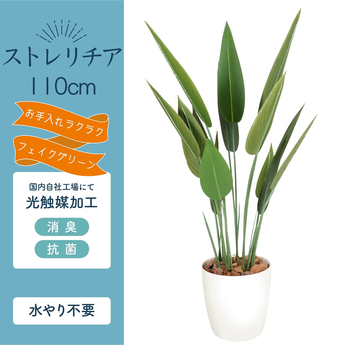 光触媒インテリアグリーン ストレリチア110cm 鉢付き