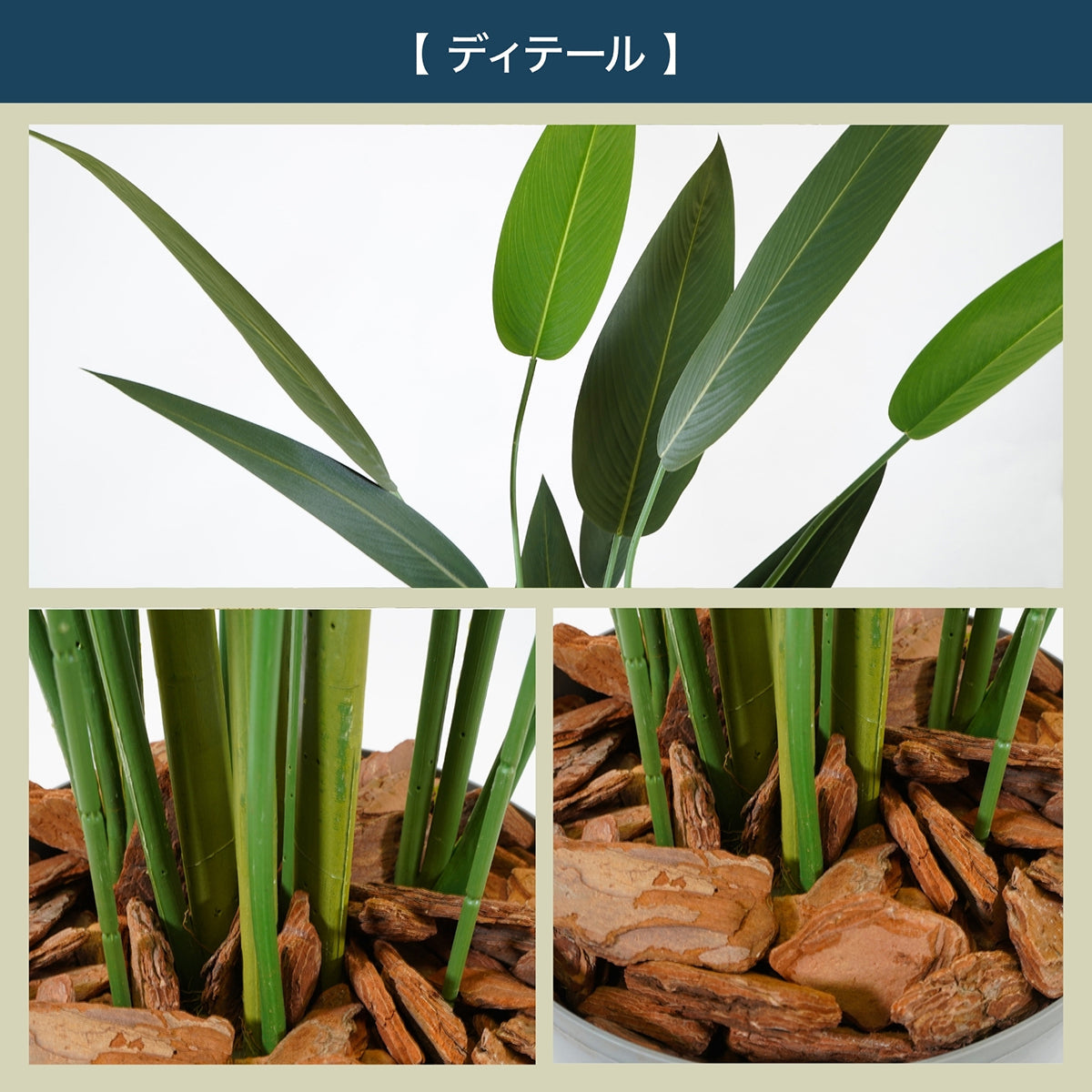 光触媒インテリアグリーン ストレリチア110cm 鉢付き