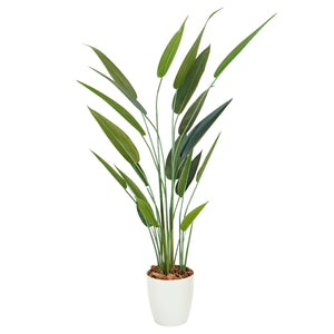 光触媒インテリアグリーン ストレリチア160cm 鉢付き