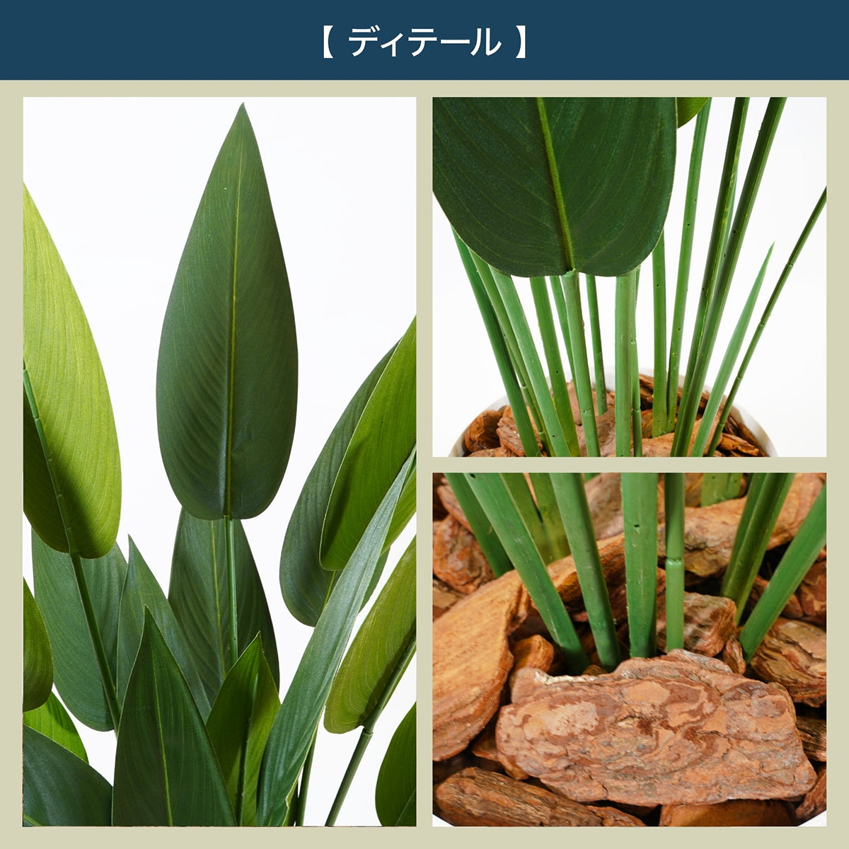 光触媒インテリアグリーン ストレリチア160cm 鉢付き