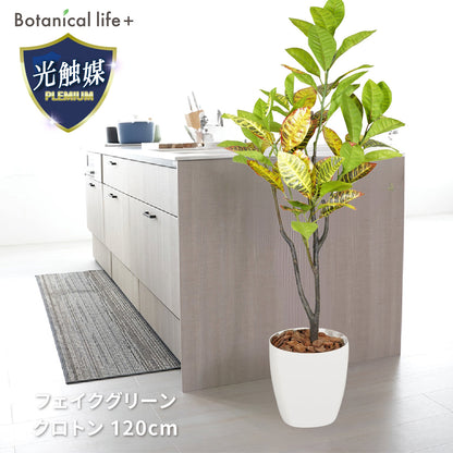 光触媒インテリアグリーン クロトン120cm 鉢付き