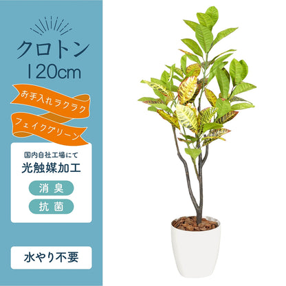光触媒インテリアグリーン クロトン120cm 鉢付き