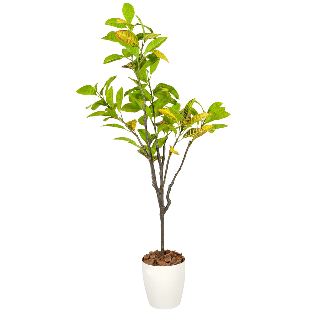 光触媒インテリアグリーン クロトン150cm 鉢付き