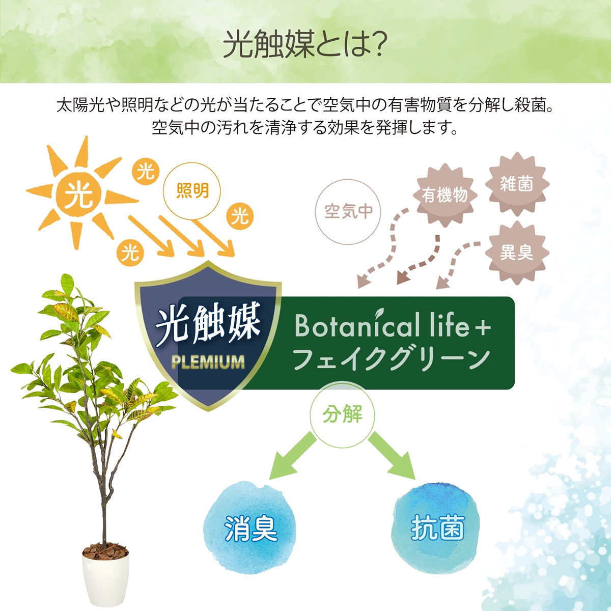 光触媒インテリアグリーン クロトン150cm 鉢付き