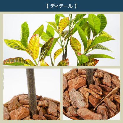 光触媒インテリアグリーン クロトン150cm 鉢付き