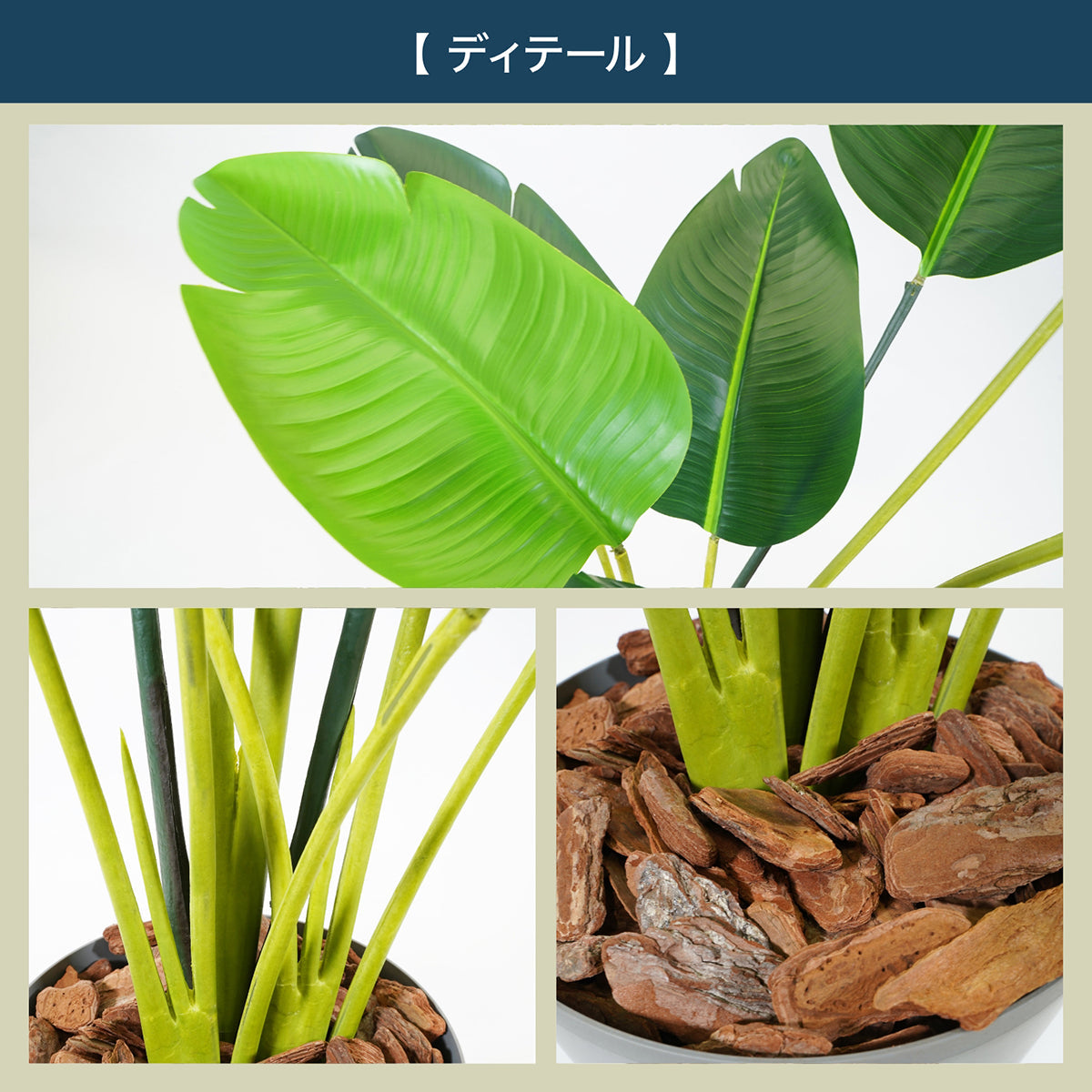 光触媒インテリアグリーン オーガスタ150cm 鉢付き