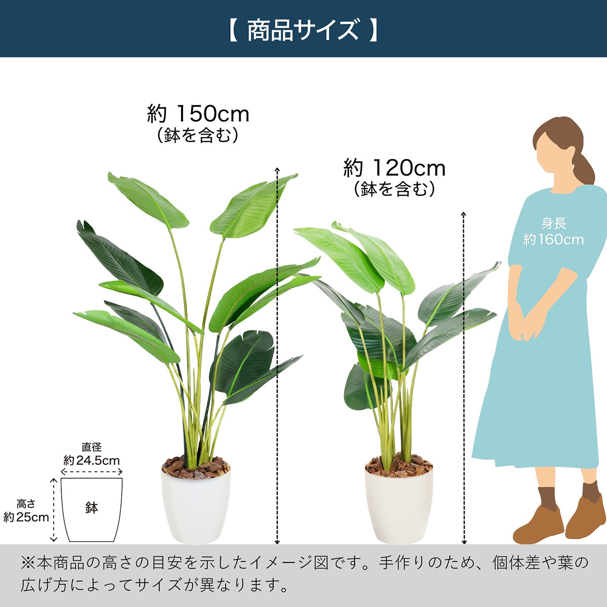 光触媒インテリアグリーン オーガスタ150cm 鉢付き