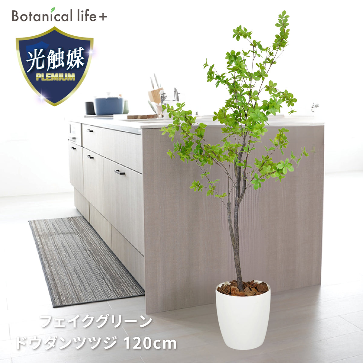 光触媒インテリアグリーン ドウダンツツジ120cm 鉢付き