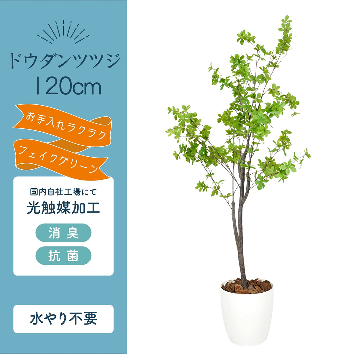 光触媒インテリアグリーン ドウダンツツジ120cm 鉢付き
