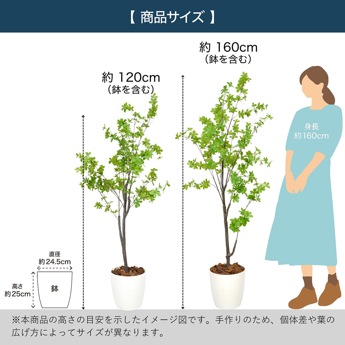 光触媒インテリアグリーン ドウダンツツジ120cm 鉢付き