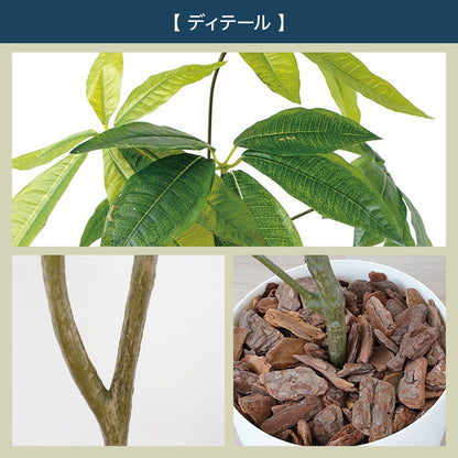 光触媒インテリアグリーン パキラ130cm鉢付き