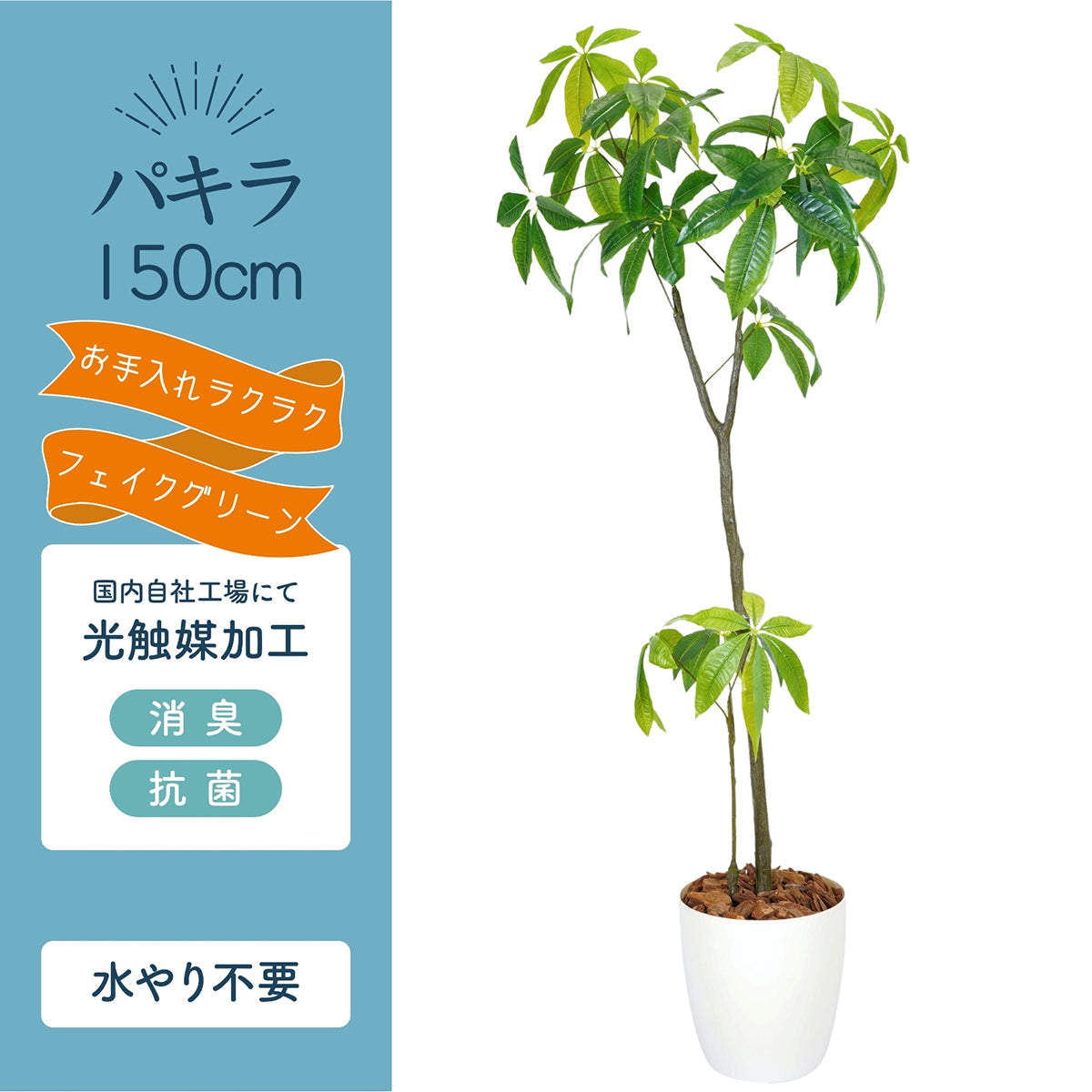 光触媒インテリアグリーン パキラ150cm鉢付き