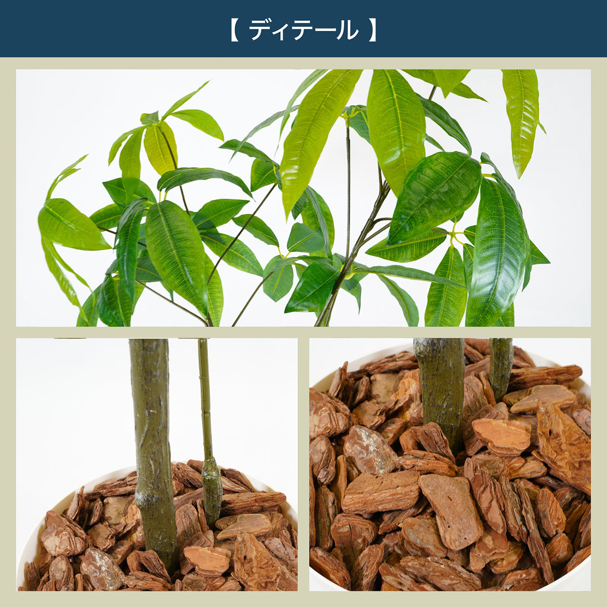 光触媒インテリアグリーン パキラ150cm鉢付き