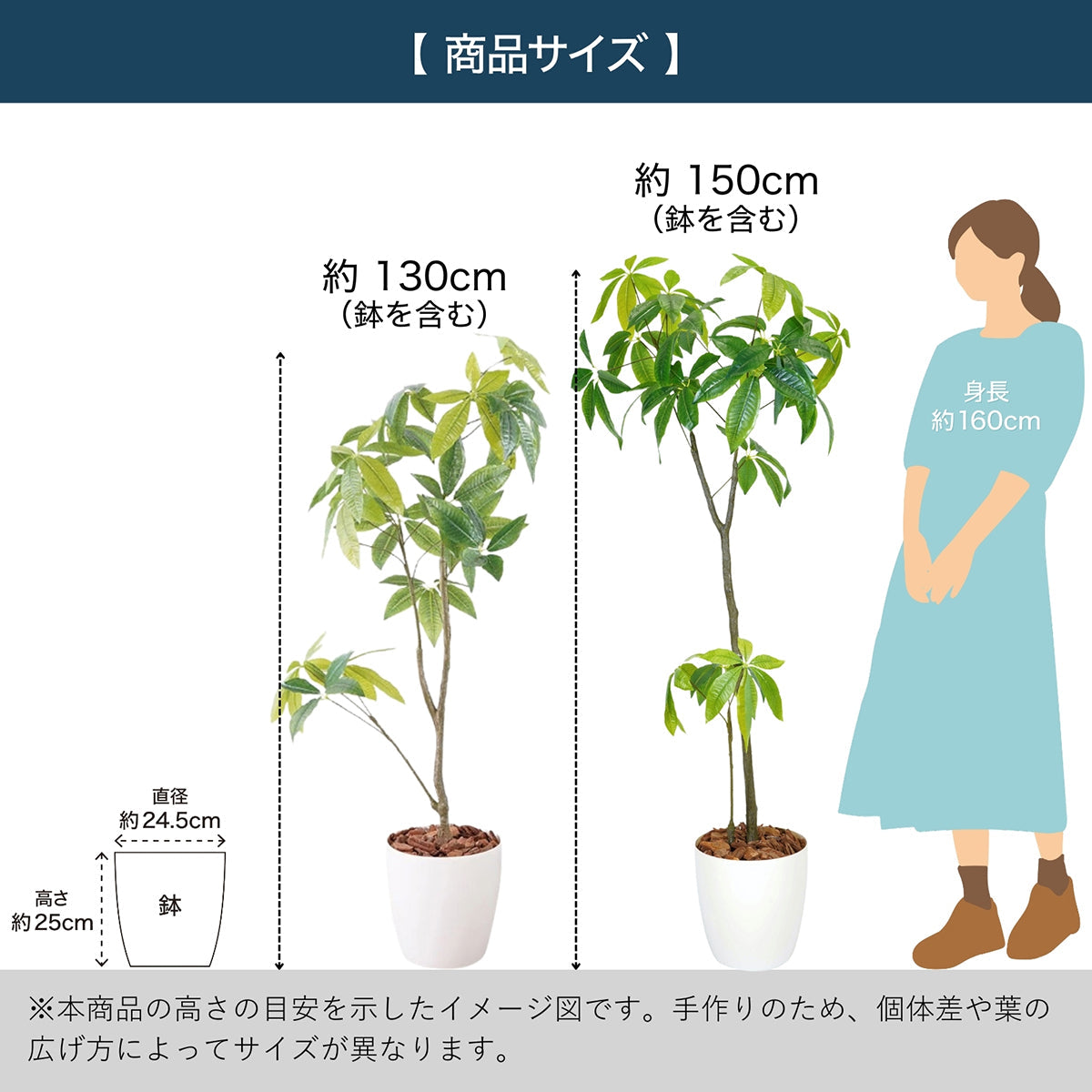 光触媒インテリアグリーン パキラ150cm鉢付き