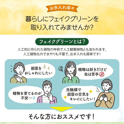 光触媒インテリアグリーン オリーブ130cm鉢付き