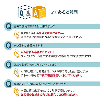 光触媒インテリアグリーン オリーブ130cm鉢付き