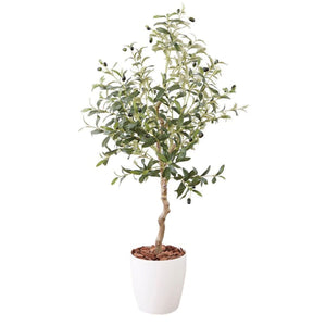 光触媒インテリアグリーン オリーブ130cm鉢付き