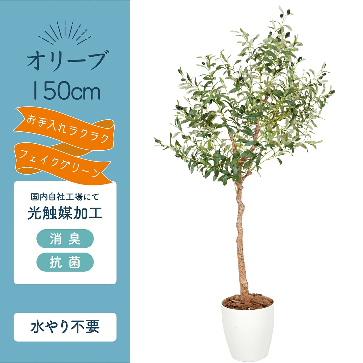 光触媒インテリアグリーン オリーブ150cm鉢付き