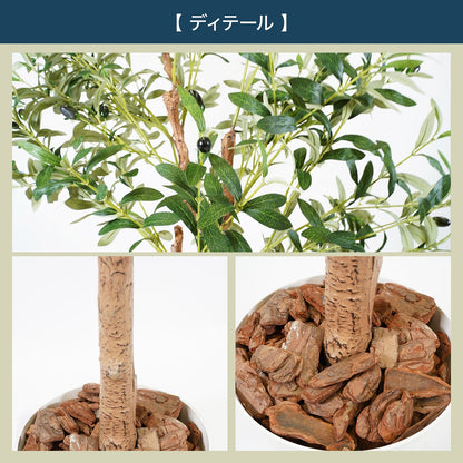 光触媒インテリアグリーン オリーブ150cm鉢付き