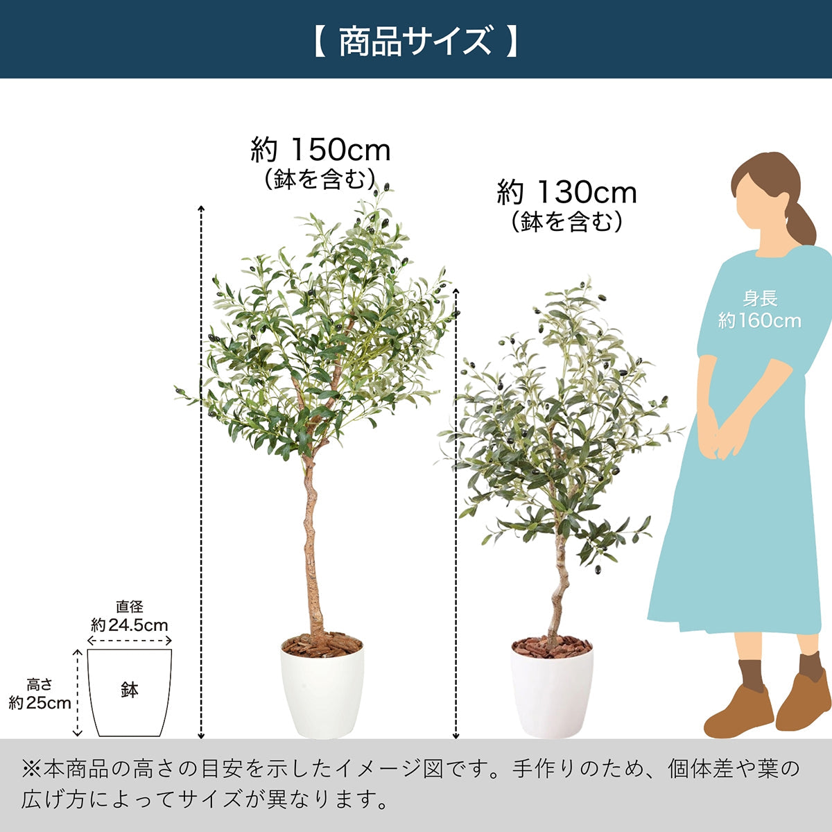 光触媒インテリアグリーン オリーブ150cm鉢付き