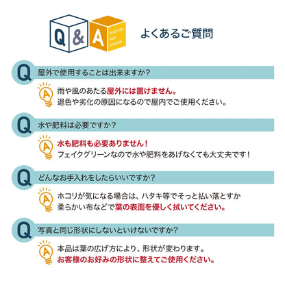 光触媒インテリアグリーン ベンジャミン130cm鉢付き