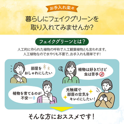 光触媒インテリアグリーン ベンジャミン150cm鉢付き