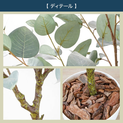 光触媒インテリアグリーン ユーカリ130cm鉢付き